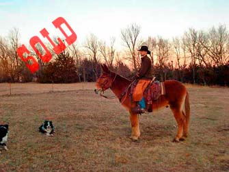 Big Jake – 11 year old john