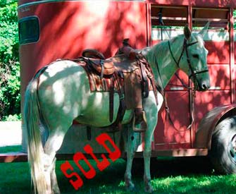 Buttermilk – 8 year old molly