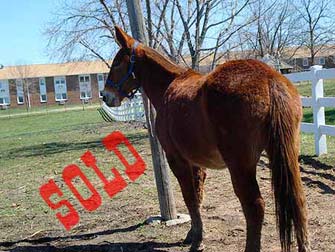 Clovis – 9 year old john