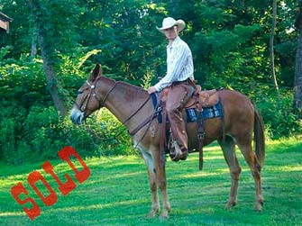 Cowcamp Kate – 11 year old molly