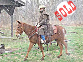 Jake – 12 year old john