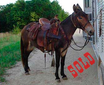 Joey – 7 year old john