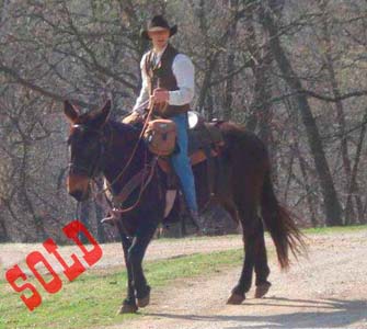 Magnum – 12 year old john