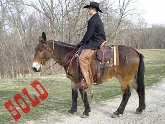 Ruger – 10 year old john