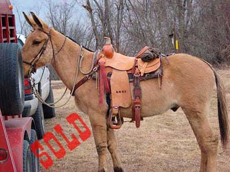 Safe/Safe 7 year old john