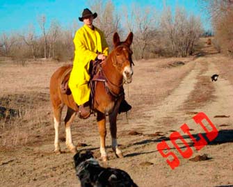 Socks – 12 year old john